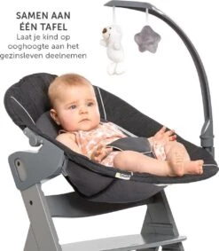 Hauck Alpha Plus Kinderstoel - Newborn Set Deluxe - Grijs -Stokke Verkoop 1049x1200