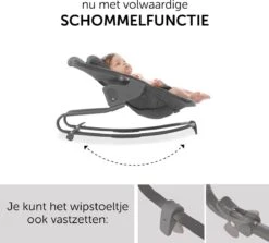 Hauck Alpha Plus Kinderstoel - Newborn Set XXL - Grijs -Stokke Verkoop 1200x1085