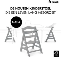 Hauck Alpha+ Kinderstoel - Grijs -Stokke Verkoop 1200x1116