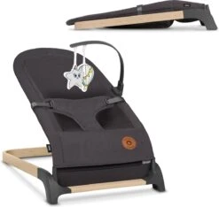 Lionelo June - Babyschommel - Tot 9 Kg - 3-punts Veiligheidsgordels - Lichtgewicht