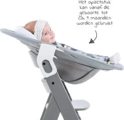 Hauck Alpha Plus Kinderstoel - Newborn Set - Grijs -Stokke Verkoop 1200x1155