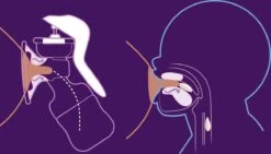 Philips Avent SCF430/01 - Borstkolf - Handmatig -Stokke Verkoop 1200x687