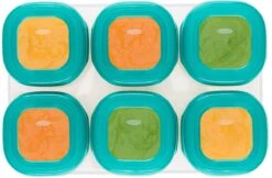 OXO Tot Babyvoeding Diepvriesbakjes - Babyvoeding Bewaarbakjes Met Deksel - 6x60 Ml- Teal 8 OXO Tot Babyvoeding Diepvriesbakjes - Babyvoeding Bewaarbakjes Met Deksel - 6x60 Ml- Teal -Stokke Verkoop 1200x785 1