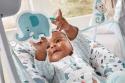 Fisher Price Fisher-Price Pacific Pebble Wipstoel - Draagbaar Schommelstoeltje -Stokke Verkoop 1200x800 135