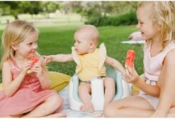 Bumbo Multi Seat - Hemlock - Kinderstoel - Stoelverhoger - Multifunctioneel -Stokke Verkoop 1200x815