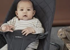 BabyBjörn Wipstoel Bliss Donkergrijs Frame - Cotton Klassiek Quilt - Antraciet - Ergonomisch - Verstelbaar - Inklapbaar 29 BabyBjörn Wipstoel Bliss Donkergrijs Frame - Cotton Klassiek Quilt - Antraciet - Ergonomisch - Verstelbaar - Inklapbaar -Stokke Verkoop 1200x851 2