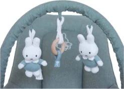 Prénatal Wipstoel Nijntje Luxe - Wipstoeltjes Voor Baby - Schommelstoel / Baby Swing - Verstelbaar En Comfortabel - Baby Accessoires - Groen -Stokke Verkoop 1200x866 1