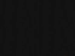 Kuipzetel Charlie - Zwart -Stokke Verkoop 1200x900 35