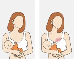 Youha® POD - Lekschaal - Moedermelk Opvangcup - Melkcollector - Draagbare Cup - Handen Vrij - Moedermelk Opvangen - Borstschelp - Opvangcup Voor Moedermelk - BPA Vrij - 120ML Opvangcup -Stokke Verkoop 1200x960 7