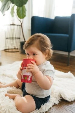 Dr. Brown's Dr Brown's - Cheers 360° Drinkbeker - 9+ Maanden - Rood - 300ml 13 Dr. Brown's Dr Brown's - Cheers 360° Drinkbeker - 9+ Maanden - Rood - 300ml -Stokke Verkoop 801x1200 32